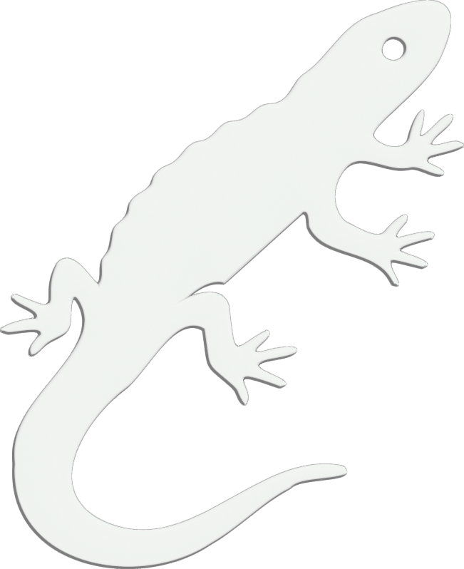 The gote newt