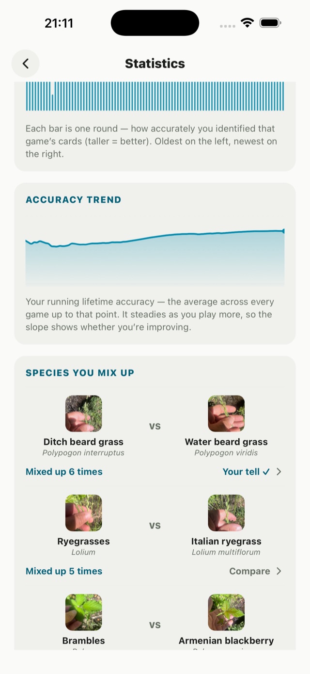 gote statistics — an accuracy trend line above a “Species you mix up” list of look-alike pairs